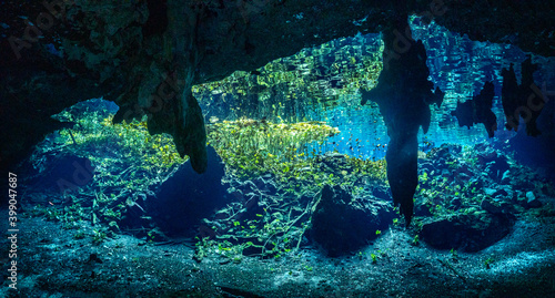 Gran Cenote Underwater in Yucatan, Mexico
