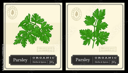 leaves of parsley illustration template design