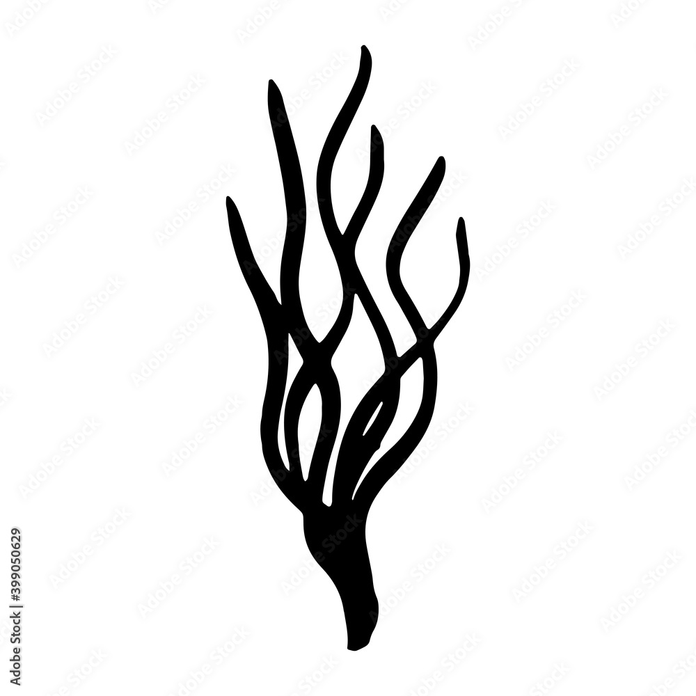 Fototapeta premium algae sea coral vector sign silhouette