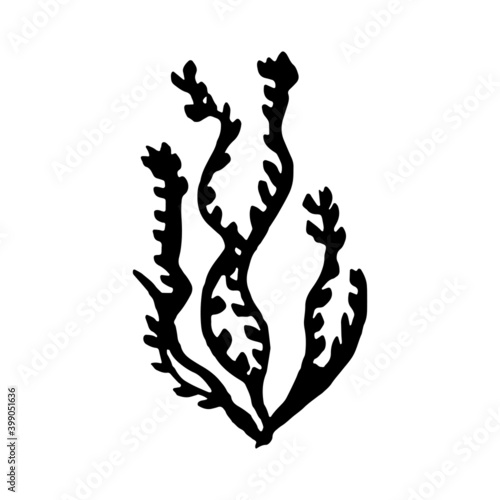 algae sea coral vector sign silhouette