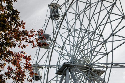 Fototapeta Naklejka Na Ścianę i Meble -  Ferris wheel in the amusement park on an autumn day. Engineered construction of a ferris wheel with cabins on a background of autumn foliage. An engineering attraction for raising people to a height.