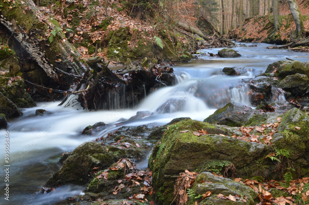 Obraz premium stream in the forest