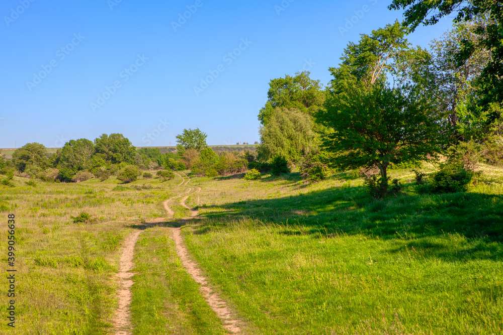 Walking path on the green meadow 