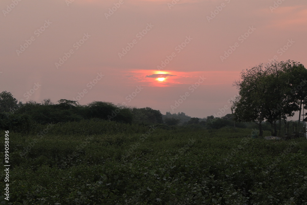 sunset from green field sunset from green field