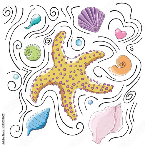 Vector marine composition of yellow starfish, orange, pale pink, blue, green, purple seashells, sea water drops and black lines in cartoon doodle style