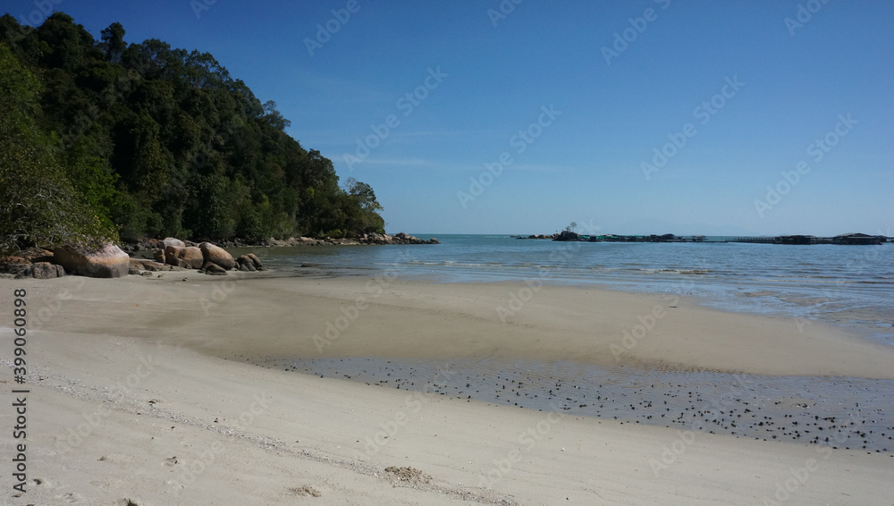 Sand beach with trees and sea view Sand beach with trees and sea view