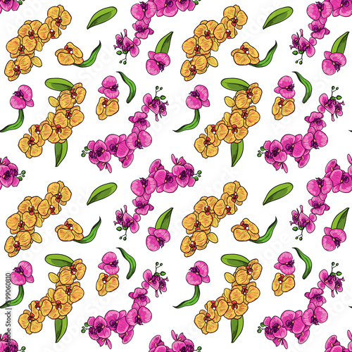 Seamless pattern with orchids flowers. Isolated vector illustration.