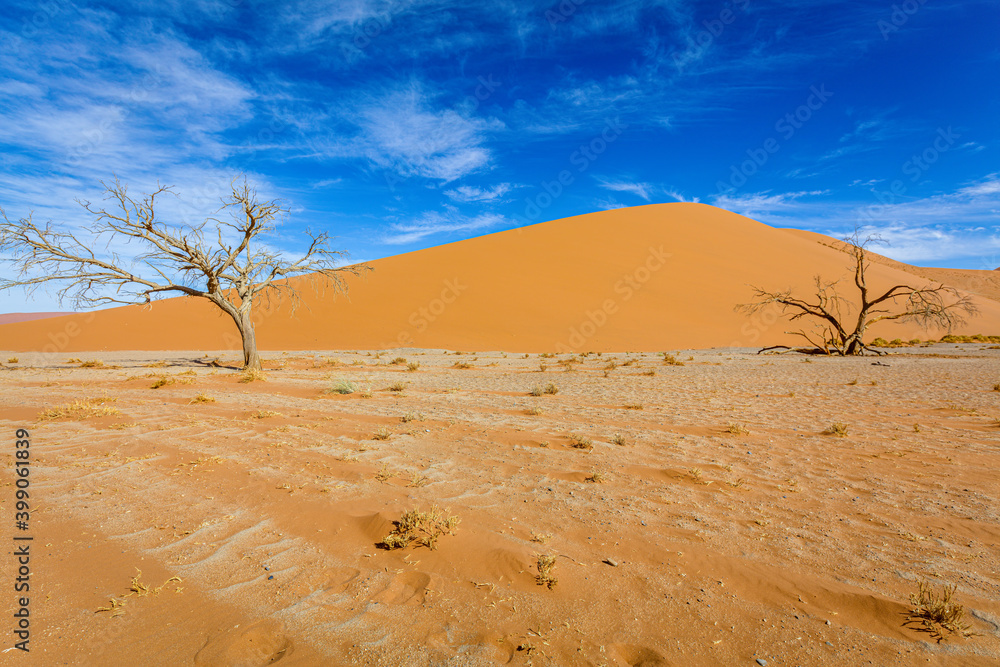 Bacharn dunes at Soussusvlei, Namibia