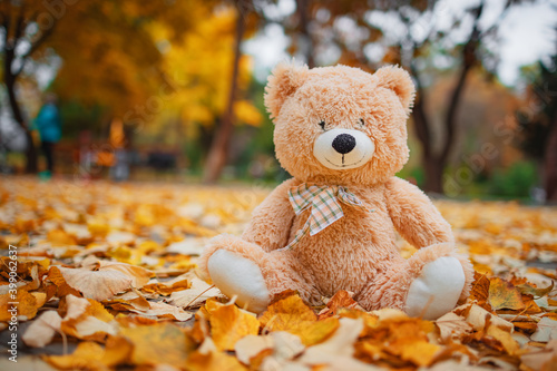 Teddy bear baby toy sitting in fallen colorful leaves outdoor. Autumn park. © ValentinValkov