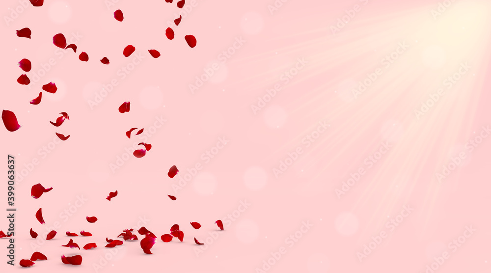 Red rose petals fly to meet the rays of the sun and fall to the floor