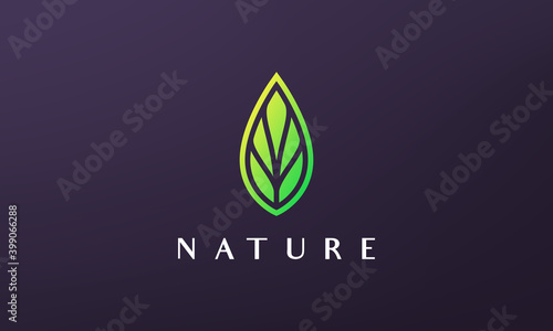 Minimalist green leaf logo in abstract and modern style