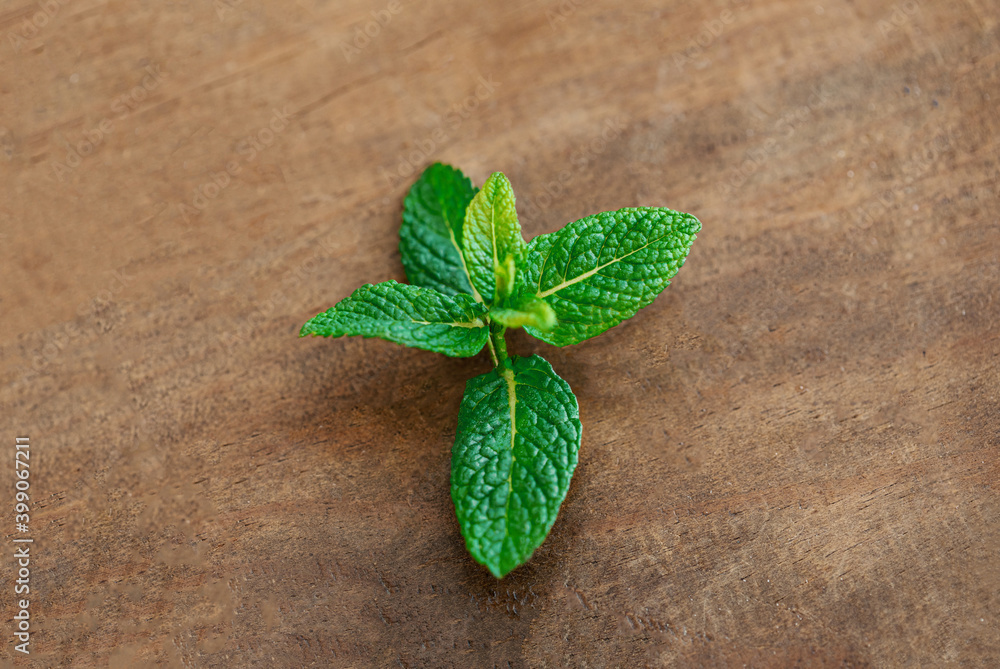 Fresh mint, peppermint leaf over wooden background. Top view, copy space Fresh mint, peppermint leaf over wooden background. Top view, copy space