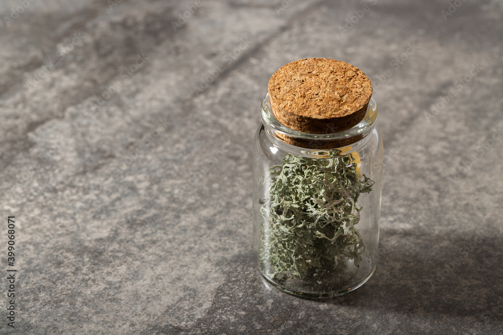 Lichen flask Lichen flask