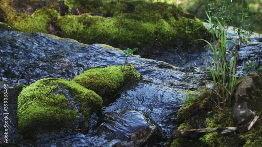 Mountainous autumn stream, water running down mossy rocks Mountainous autumn stream, water running down mossy rocks
