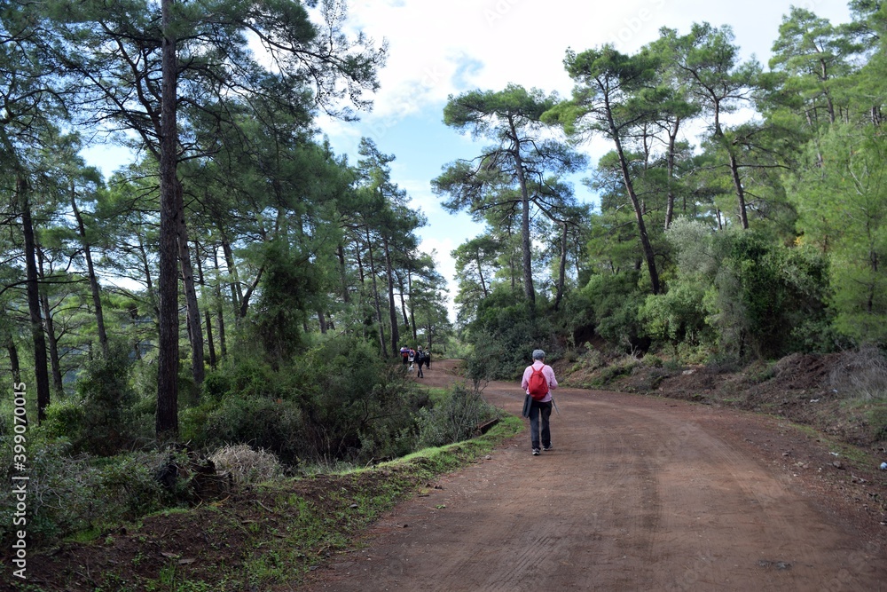 Obraz premium Tourists walking along a mountain forest road.Tourists on a hike.