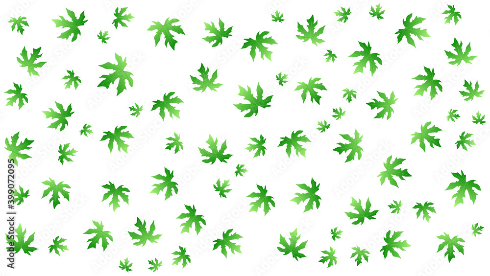 pattern leaves background, white background design pattern leaves background, white background design