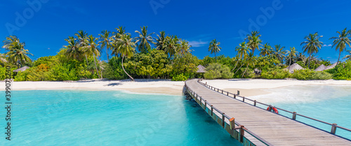 Fototapeta Naklejka Na Ścianę i Meble -  Maldives island beach. Tropical landscape of summer scenery, white sand with palm trees. Luxury travel vacation destination. Amazing beach landscape, jetty over stunning blue lagoon, idyllic nature