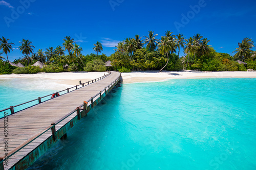 Maldives island beach. Tropical landscape of summer scenery, white sand with palm trees. Luxury travel vacation destination. Amazing beach landscape, jetty over stunning blue lagoon, idyllic nature © icemanphotos