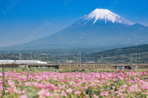 View of Mt Fuji and Tokaido Shinkansen, Shizuoka, Japan. photo