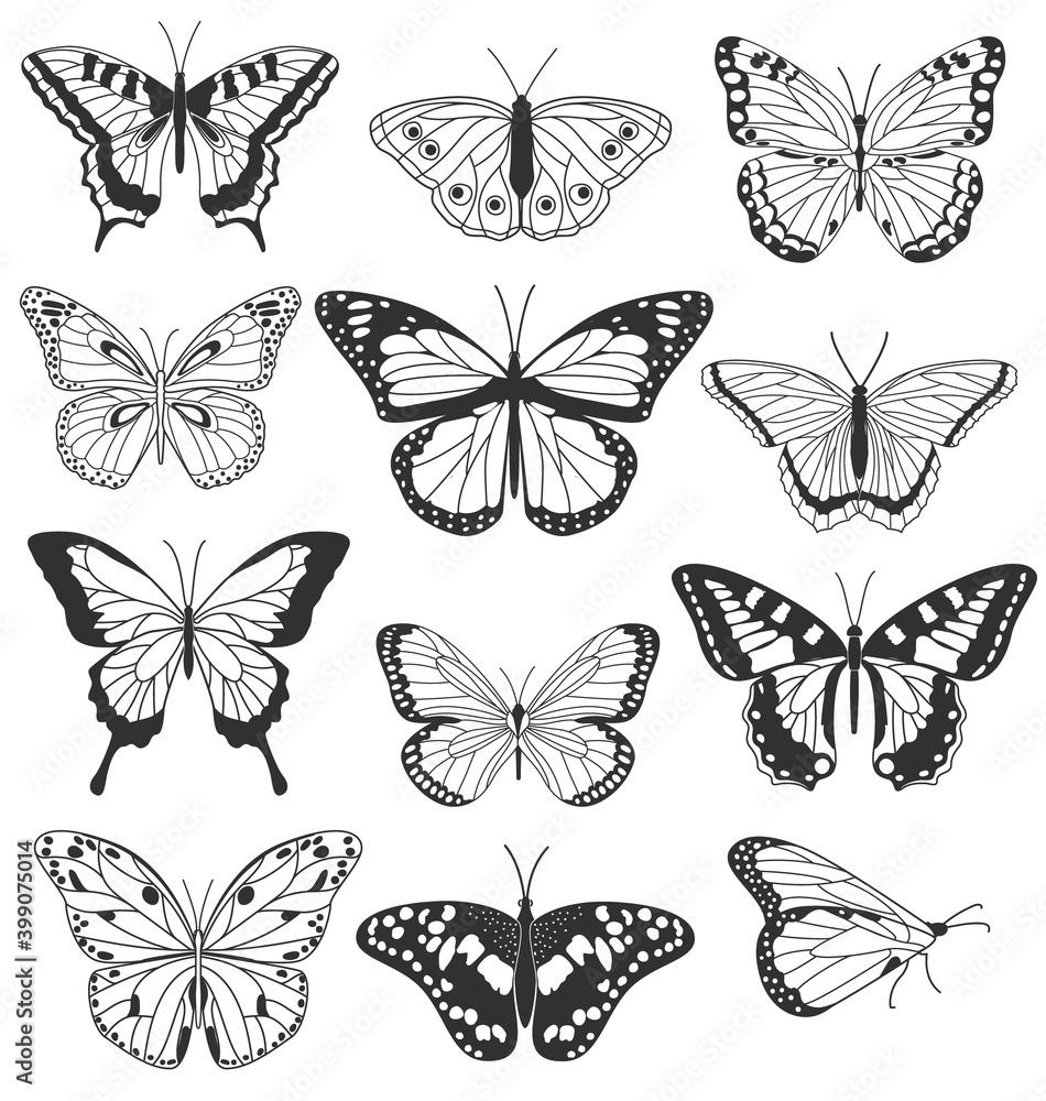 Set of realistic black and white butterflies isolated on white background. Collection of vintage elegant illustrations of butterflies. Design elements for your project. Vector illustration Set of realistic black and white butterflies isolated on white background. Collection of vintage elegant illustrations of butterflies. Design elements for your project. Vector illustration