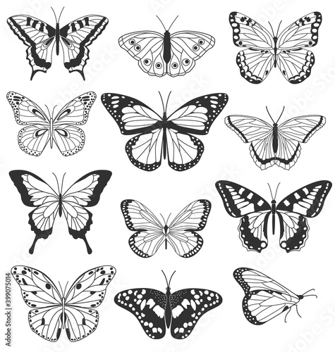 Set of realistic black and white butterflies isolated on white background. Collection of vintage elegant illustrations of butterflies. Design elements for your project. Vector illustration © Rudzhan