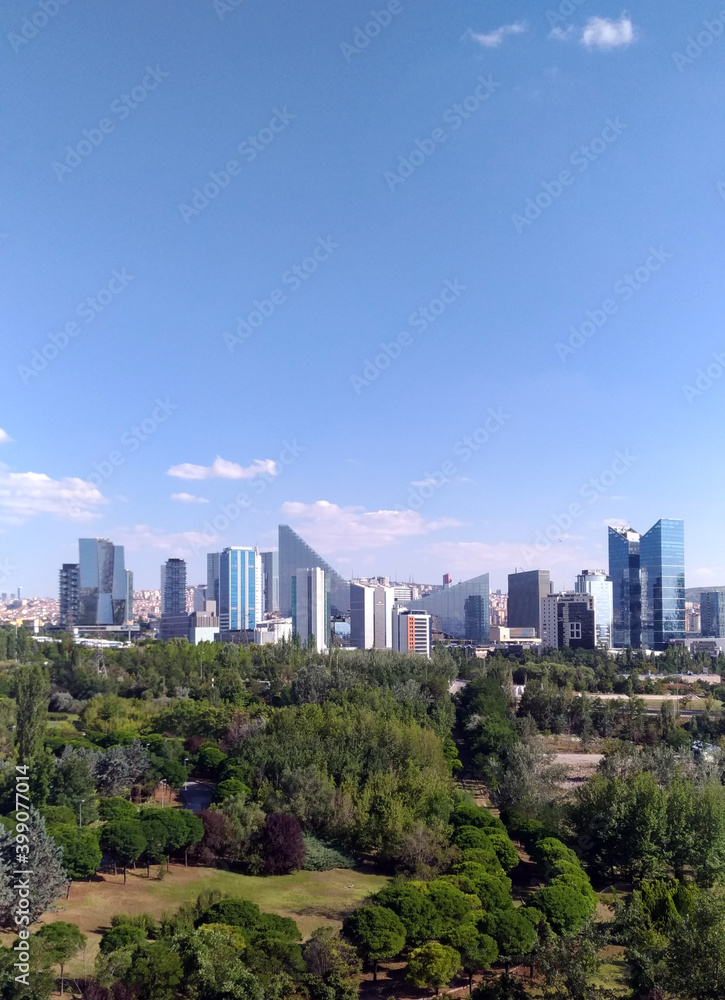 City skyline seen behind a very dense green area. City photography