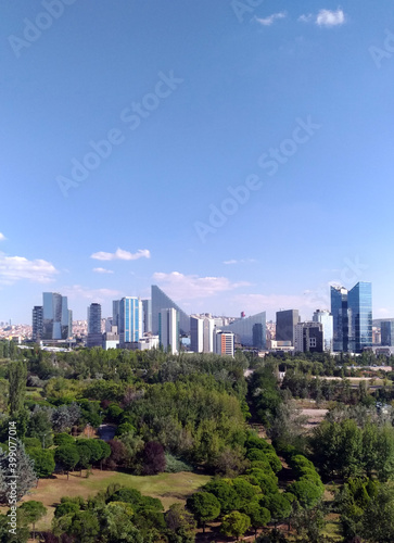 City skyline seen behind a very dense green area. City photography