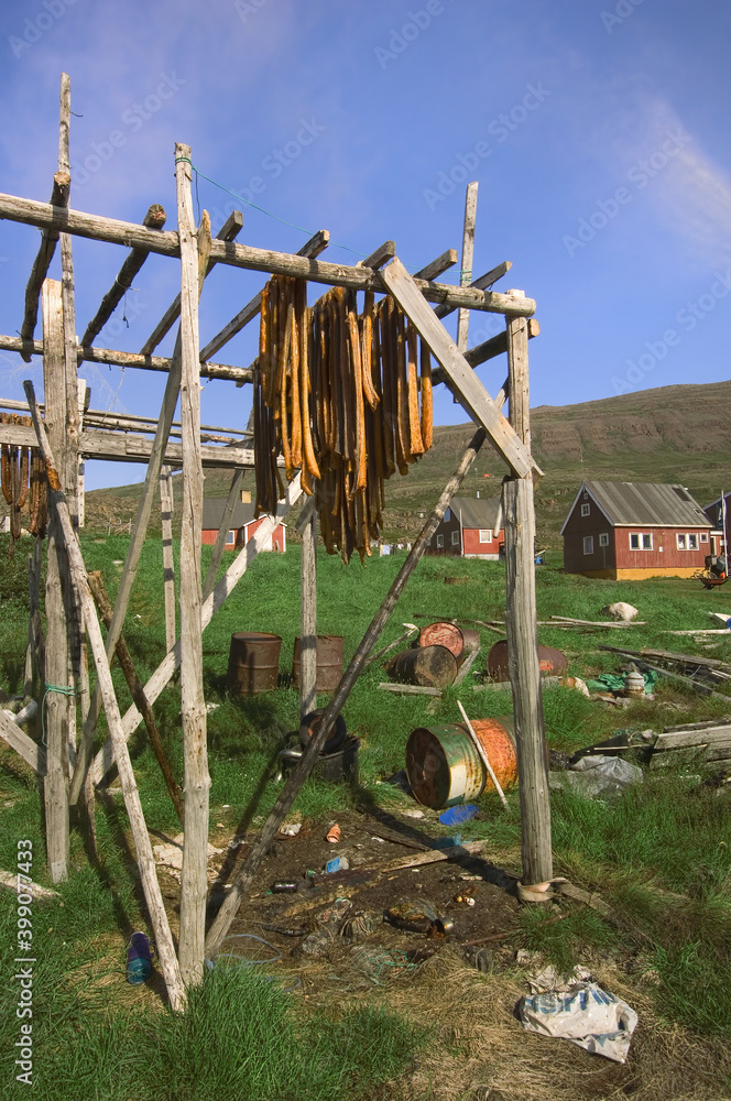 Fototapeta premium Greenland shark meat drying on a fish rack, Kangerluk, Greenland, Denmark