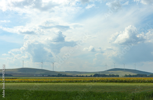 Wind © Pădureț Dan-Cristian