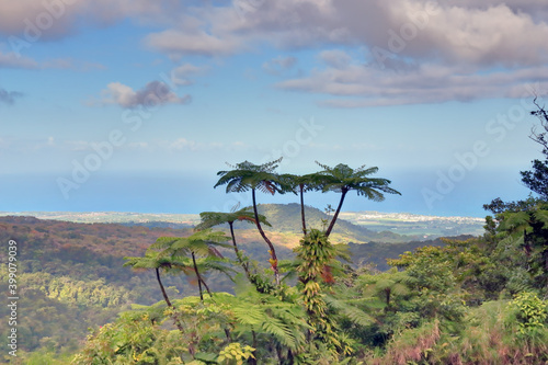 Vue depuis les chutes du Carbet sur Basse-Terre Guadeloupe