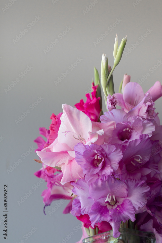 Pink Gladiolus flower bouquet in glass vase - obrazy, fototapety, plakaty 