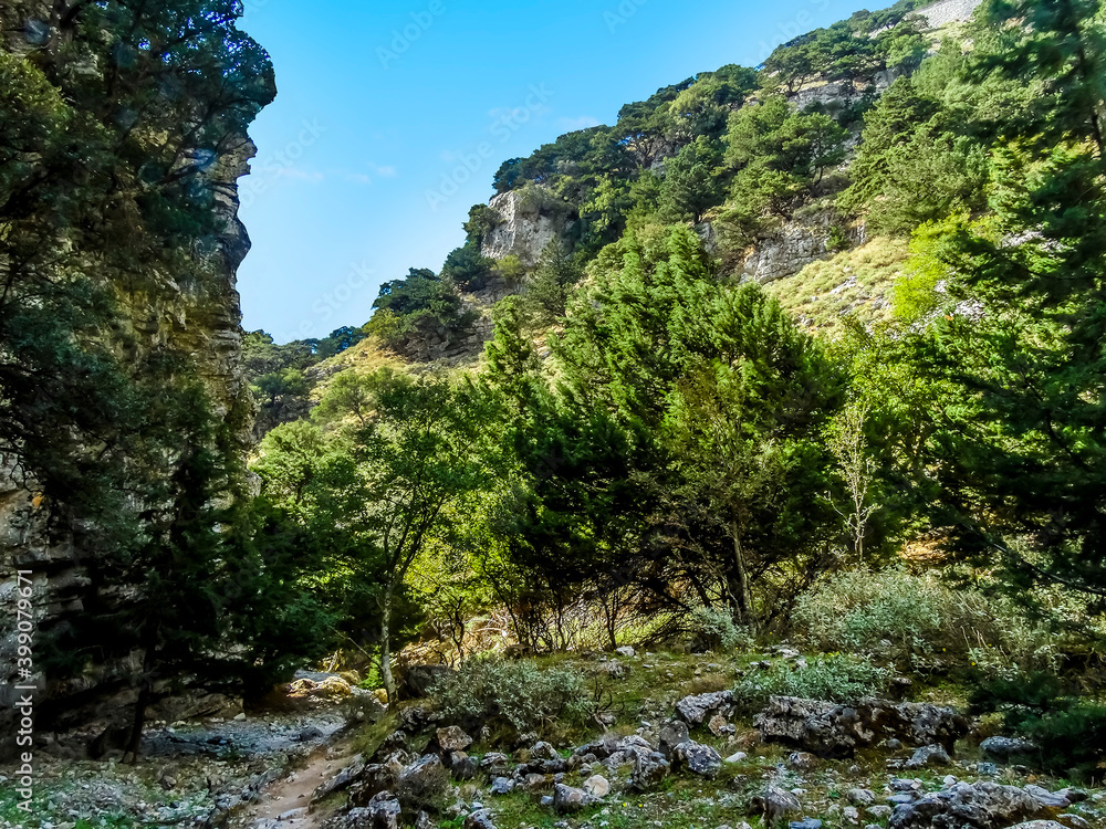The wooded trail in the Imbros Gorge near Chania, Crete on a bright sunny day