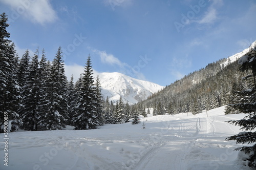 Tatry, zima, warunki górskie w mroźny dzień, szlak na Kalatówki i Halę Kondratową