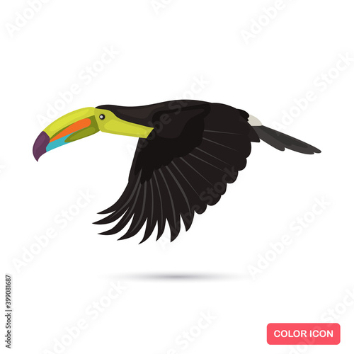 Flying toucan bird color flat icon