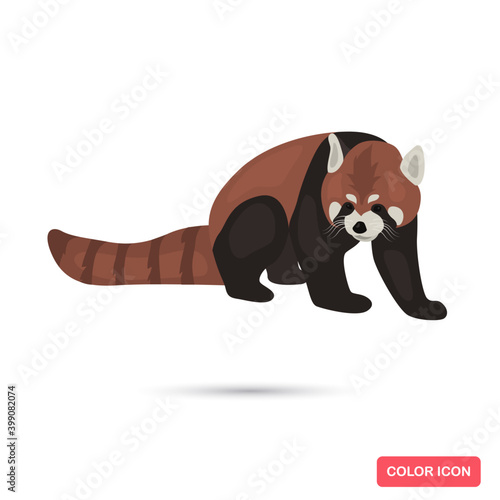 
Red panda color flat icon