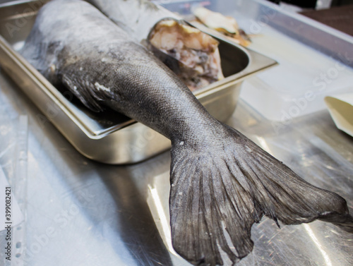close up of a fish