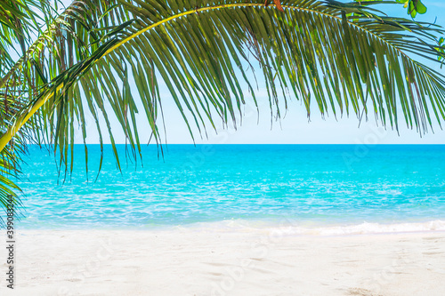 tropical beach with coconut palms tree and turquoise sea. 