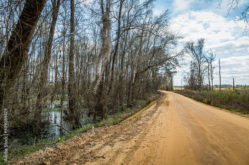 Southern Dirt Road