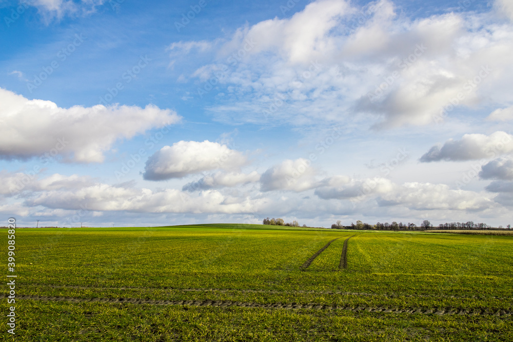 green field and blue sky in autumn