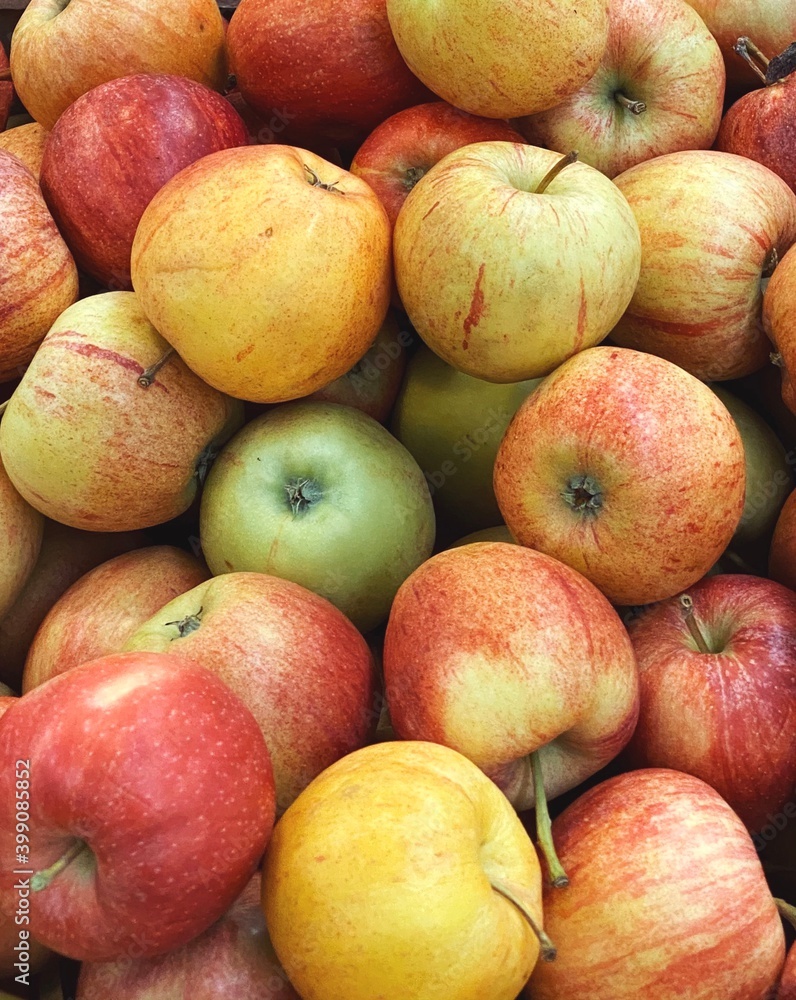 set of apples. fresh apples harvest for food patterns set of apples. fresh apples harvest for food patterns