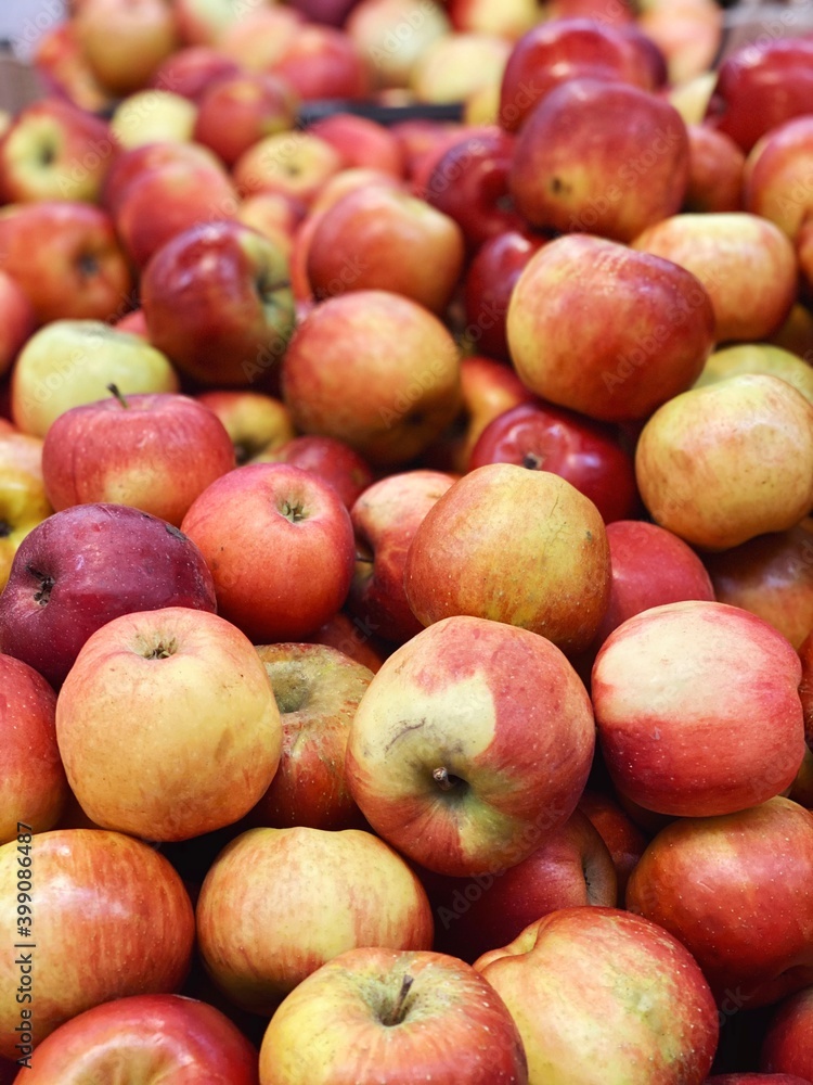 set of apples. fresh apples harvest for food patterns set of apples. fresh apples harvest for food patterns