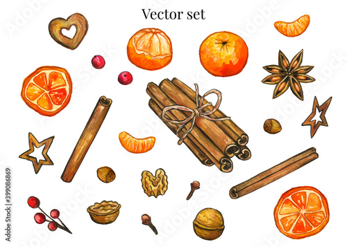 Christmas food and spices. Set for mulled wine. Hand drawn watercolor illustration. Isolated on white background.