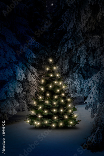 Leuchtender Weihanchtsbaum im Winterwald am Weihanchtsabend