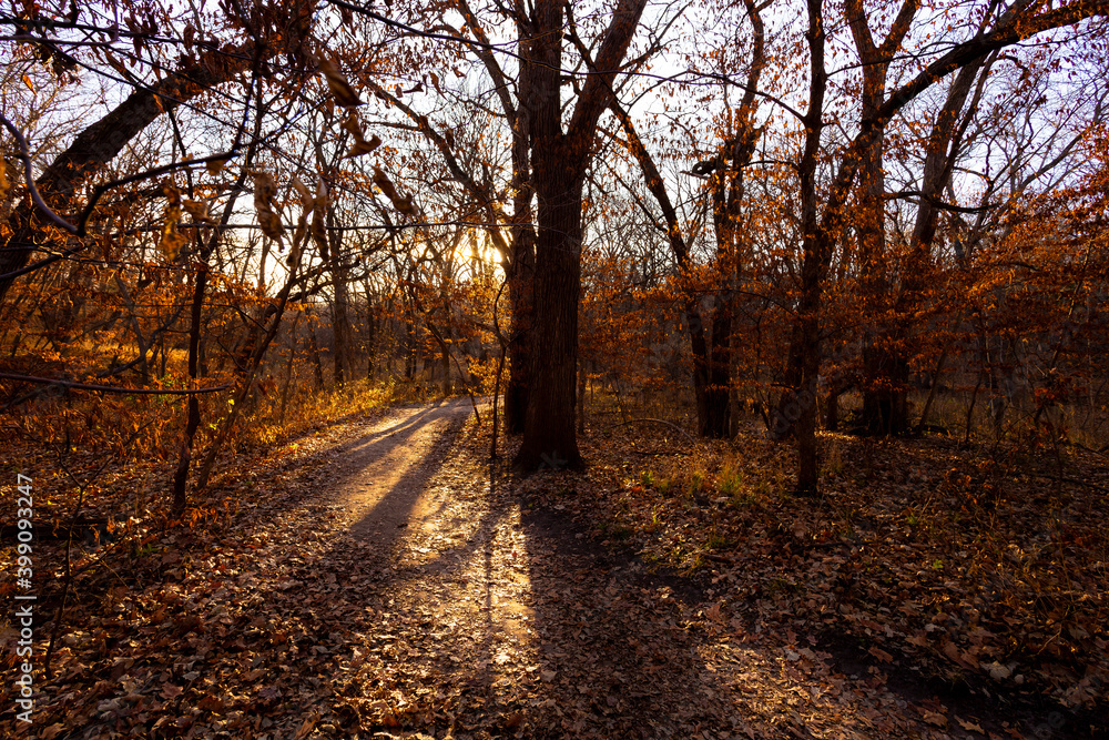 Autumn scene landscape in Nebraska