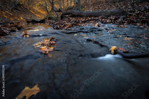 Autumn scene with leaves and flowing water