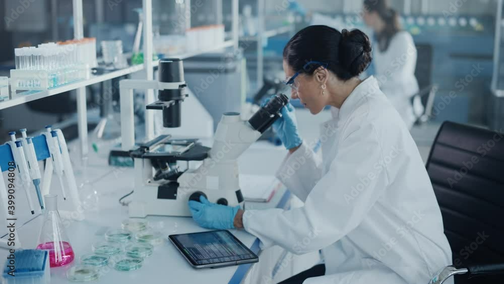 Medical Development Laboratory: Caucasian Female Scientist Looking Under Microscope, Analyzing Petri Dish Sample. Specialists Working on Medicine, Biotechnology Research in Advanced Lab. Slow Motion Medical Development Laboratory: Caucasian Female Scientist Looking Under Microscope, Analyzing Petri Dish Sample. Specialists Working on Medicine, Biotechnology Research in Advanced Lab. Slow Motion