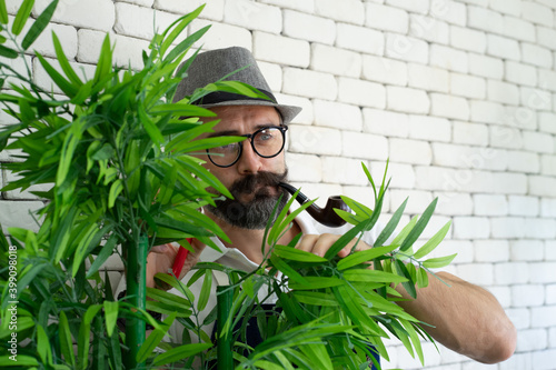 Caucasian retired senior man wearing hat and smoking piped gardening plant  in the indoor 