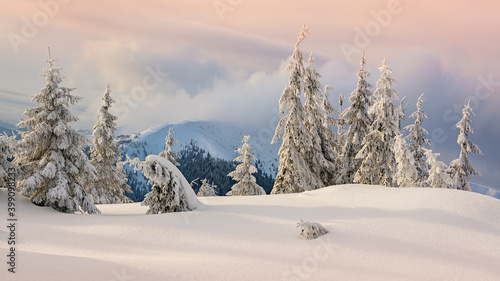Fantastic orange winter landscape in snowy mountains. Dramatic wintry scene with snowy trees. Christmas holiday concept. Carpathians mountain, Ukraine.