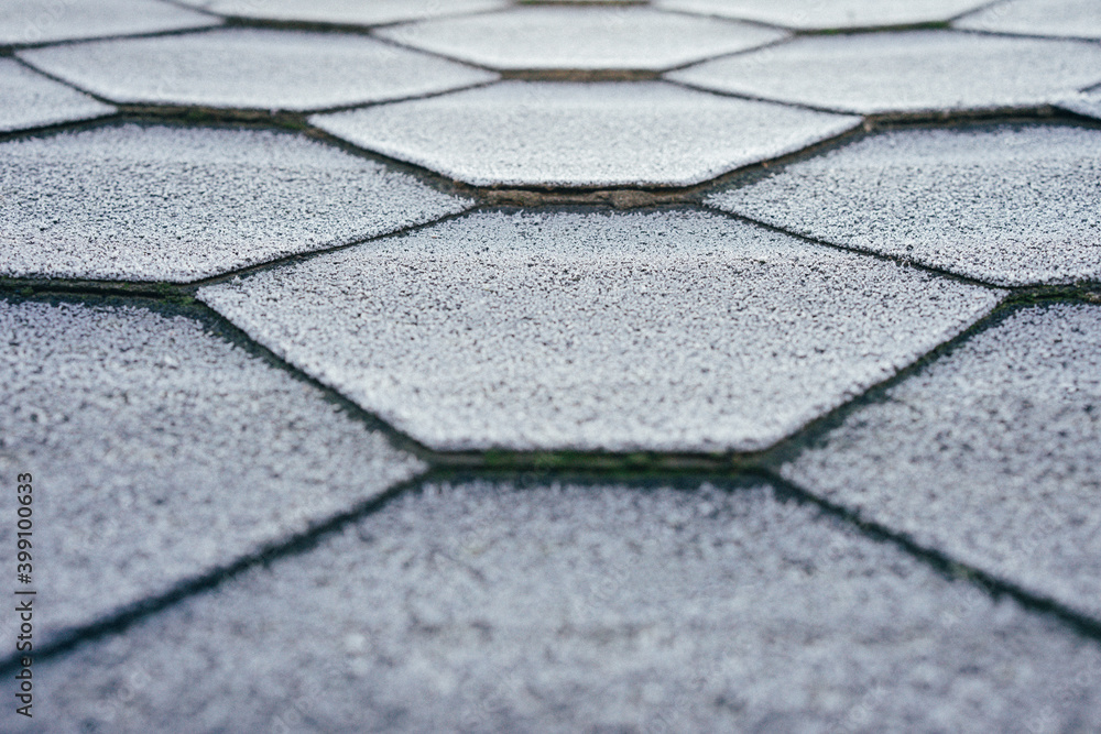 Obraz premium the texture of the roof is covered with frost