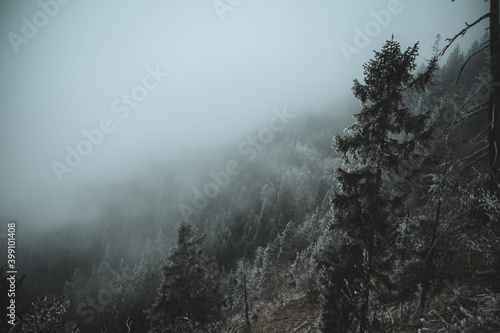 Wald im Allgäu bei Schnee und Nebel © runner77